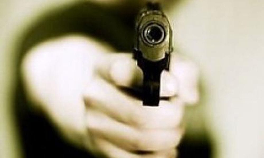 Wonder Baby: a 6 anni tenta di sventare rapina [VIDEO]