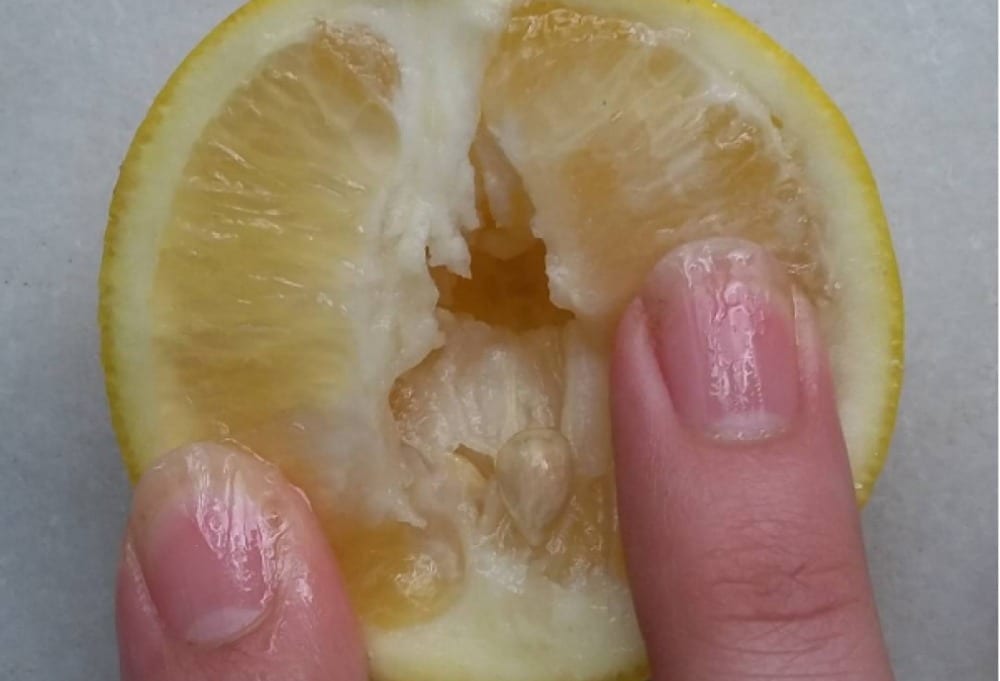 Usa la frutta e mostra come si tocca una vagina, incredibile risultato [VIDEO]