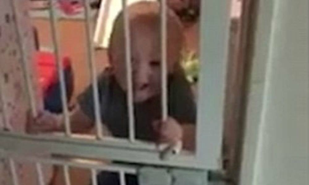 Bimbetto o scimmietta? [VIDEO]