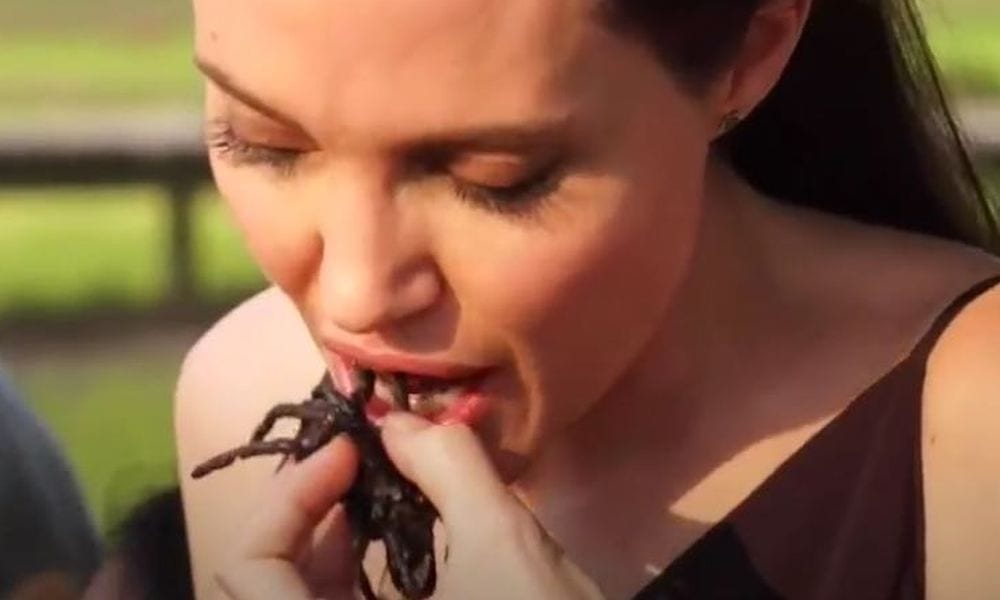 Angelina Jolie mangia grilli, tarantole e scorpioni: le immagini shock [VIDEO]