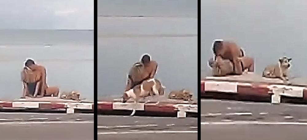 Sesso per strada circondati da cani e passanti: i turisti danno spettacolo [VIDEO]