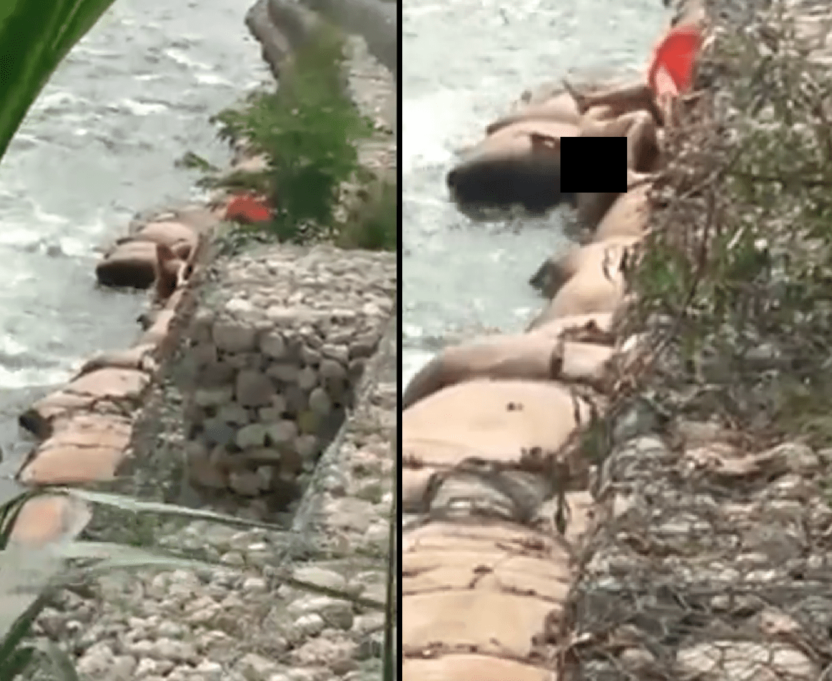 Coppia fa sesso nascosta tra gli scogli ma qualcosa va storto [VIDEO]