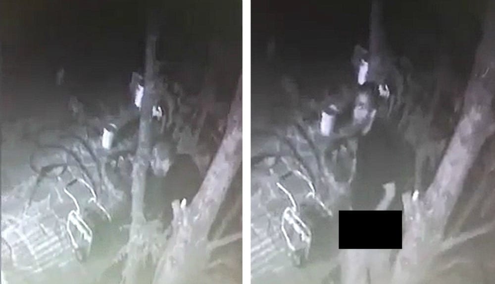 Uomo si masturba mentre sbircia una minorenne in camera: immagini shock [VIDEO]