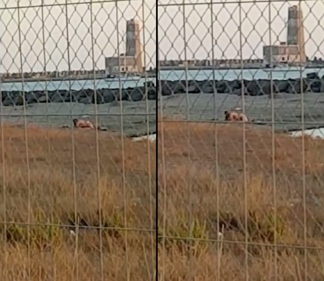 Sesso al mare in pieno giorno: coppia si intrattiene così durante il periodo natalizio [VIDEO]