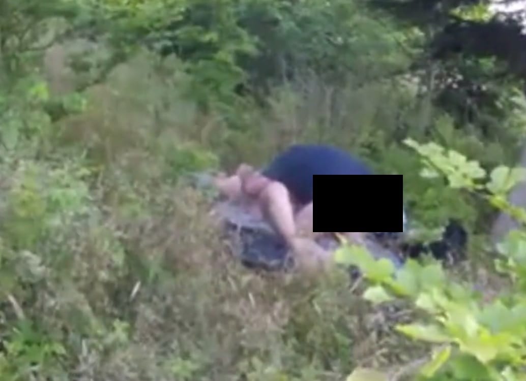 Sesso in una foresta in pieno giorno: coppia colta sul fatto così [VIDEO]