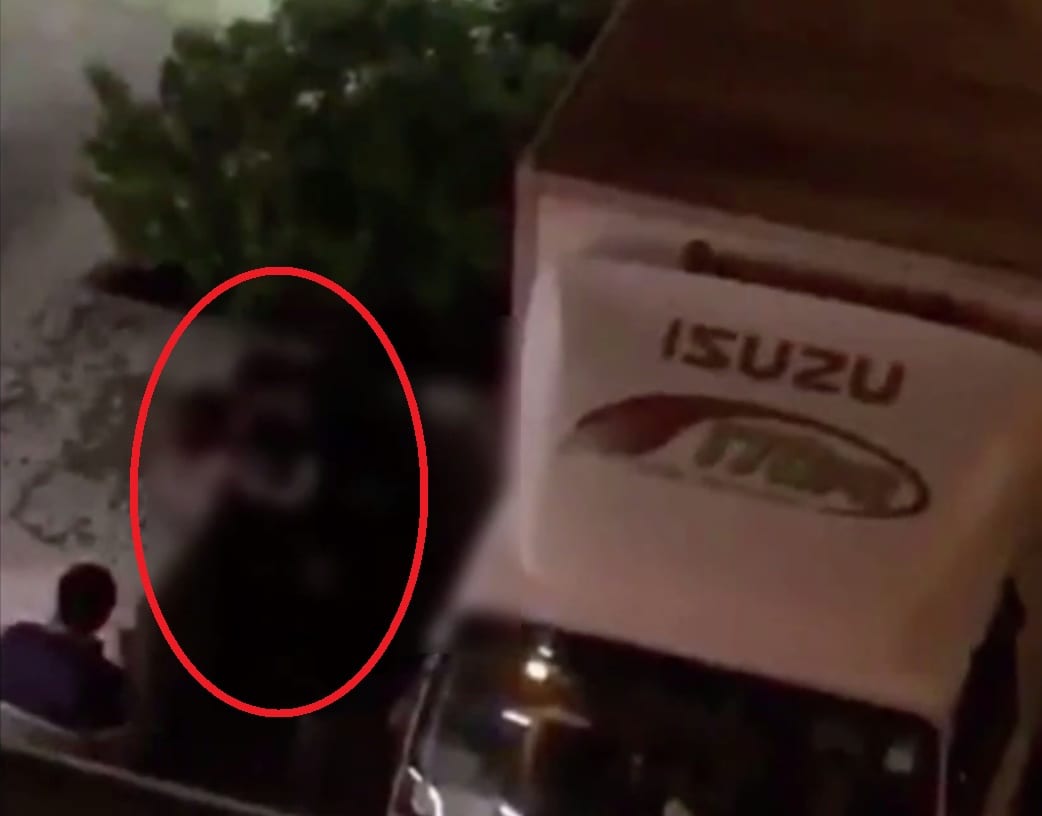 Coppia fa l’amore in strada dietro un camion, passante li importuna per partecipare [VIDEO]