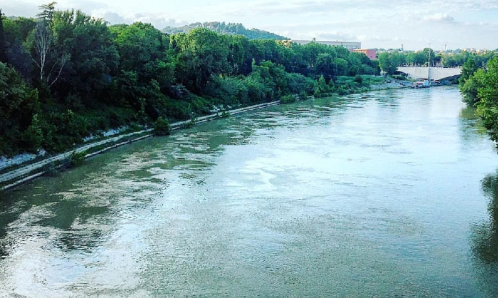 Allarme a Roma, spunta un coccodrillo nel Tevere: la testimonianza