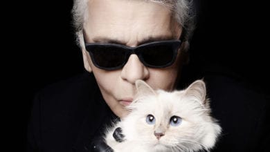 Karl Lagerfeld, il testamento è in gran parte a favore della sua gatta Choupette