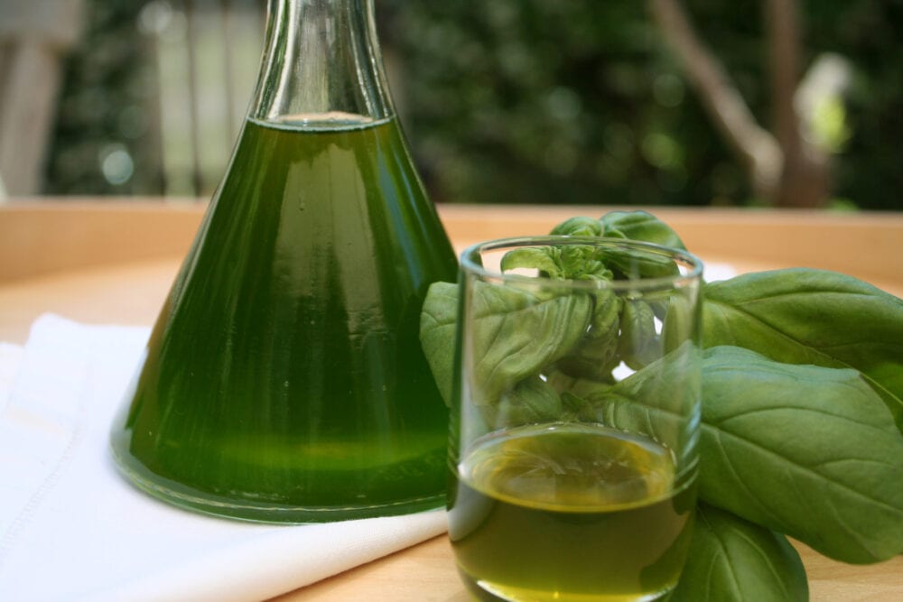 Ricetta liquore al basilico digestivo squisito, dura anche 8 mesi Ricetta liquore al basilico digestivo squisito, dura anche 8 mesi