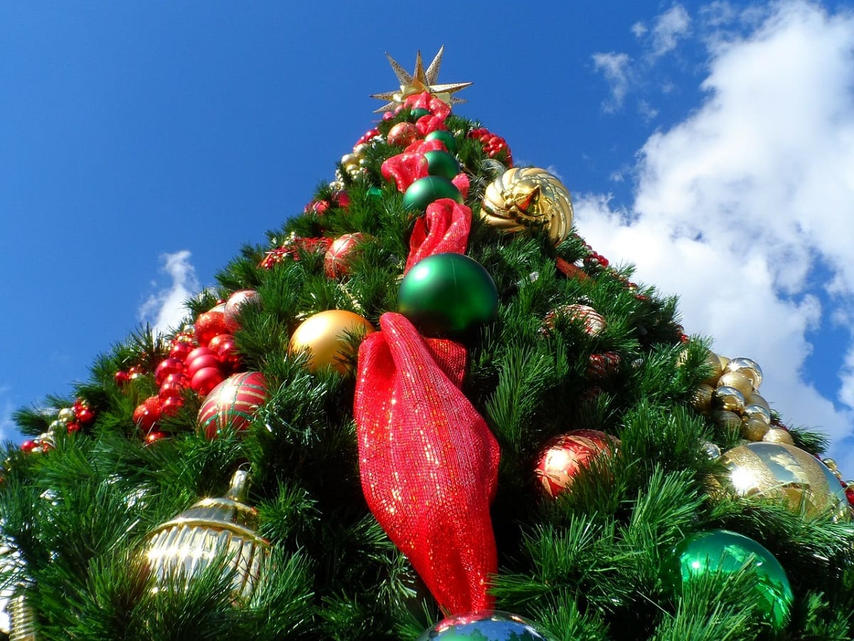 Albero di Natale gigante