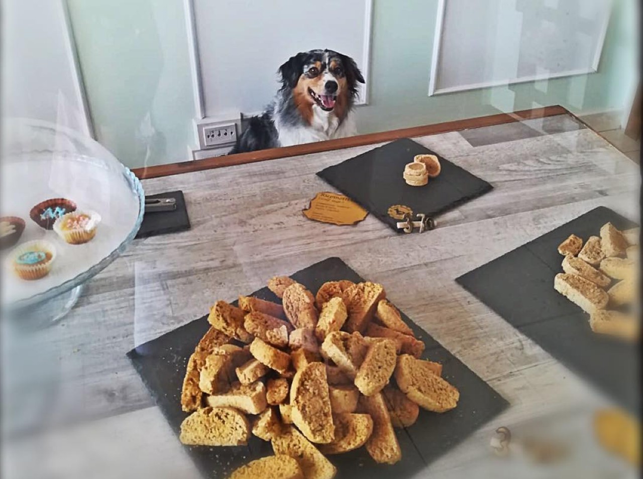 Palati bestiali pasticceria cani