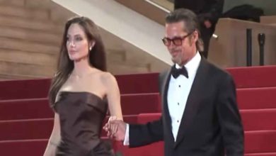 Brad Pitt Angelina Jolie motivo divorzio