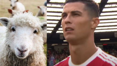 Cristiano Ronaldo pecore