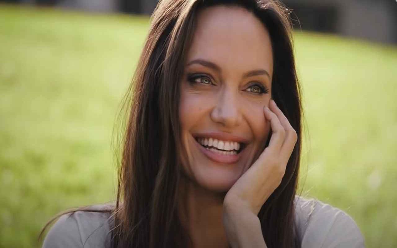 Angelina Jolie libro