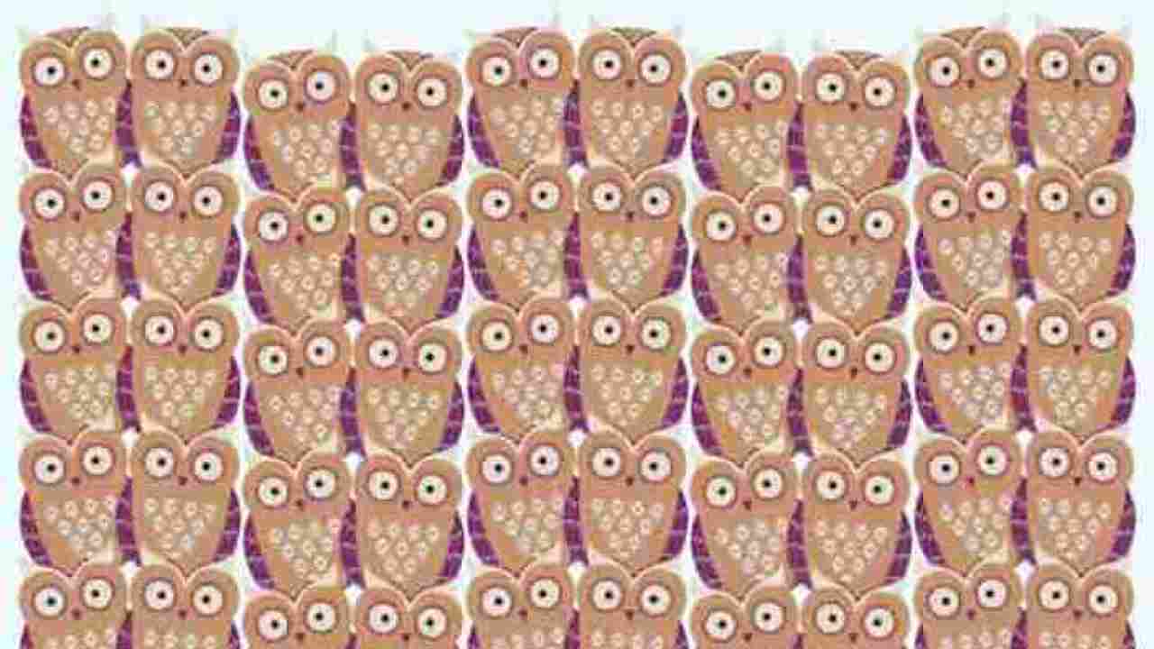 Difficult test, if you find owl different from others in 30 seconds then you are a genius