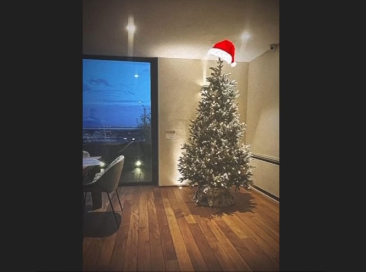 Noemi Bocchi e l'albero di Natale