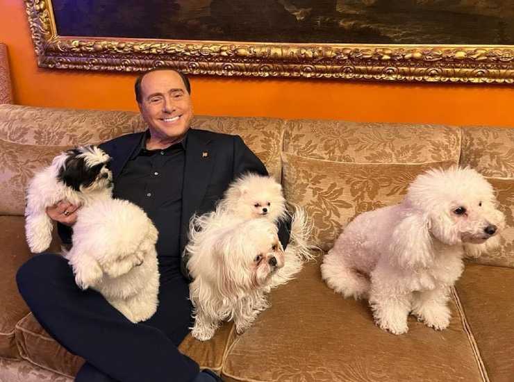 Silvio Berlusconi cani