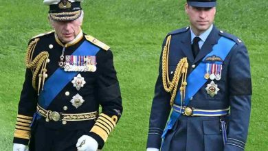 Re Carlo e Principe William in vesti ufficiali
