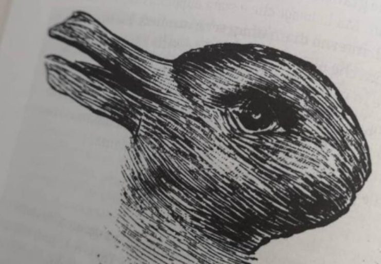 Test, disegno dell'anatra e coniglio: che animale vedi
