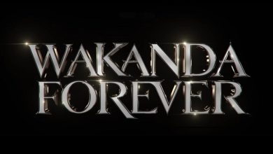 Scene eliminate Wakanda Forever