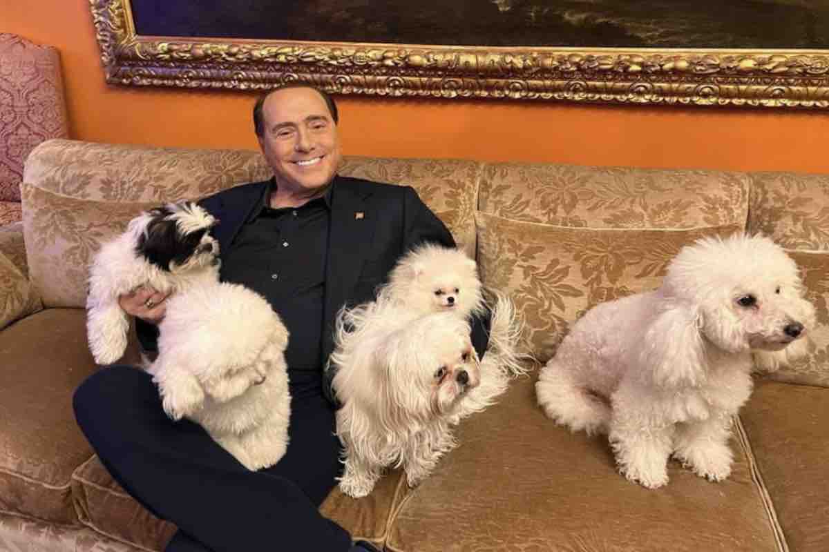 Silvio Berlusconi cani
