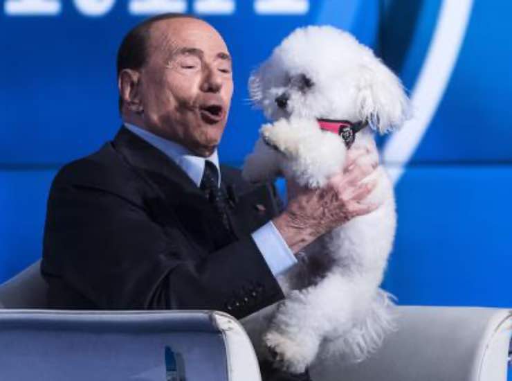 Silvio Berlusconi Dudù