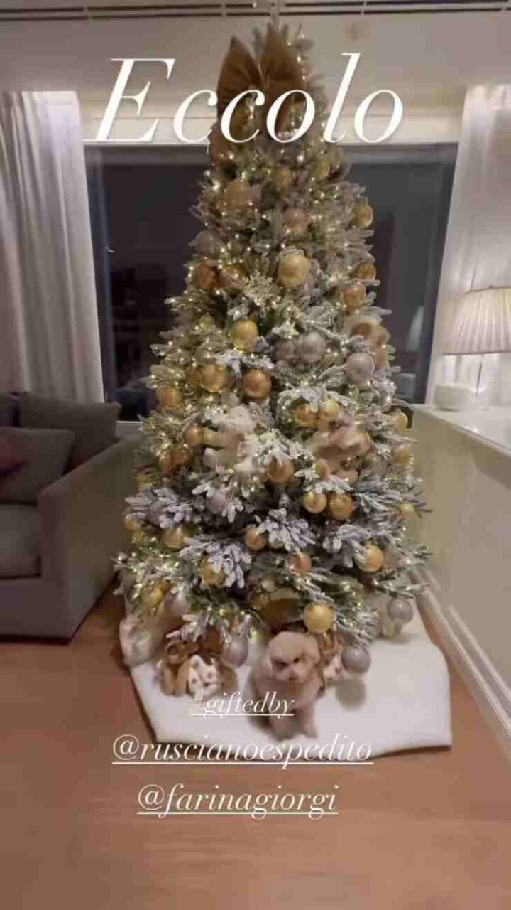 Michelle Hunziker Natale